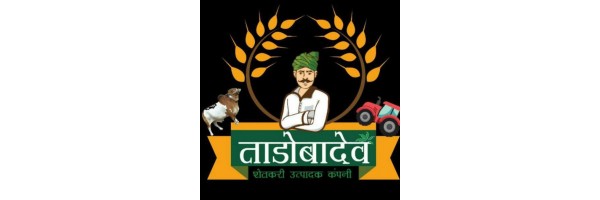 Ramesh Choudhari