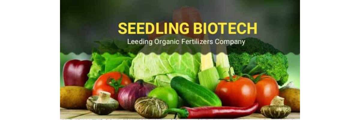 Seedling  Biotech 