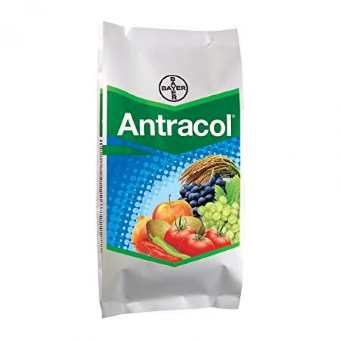 BAYER ANTRACOL 100GM