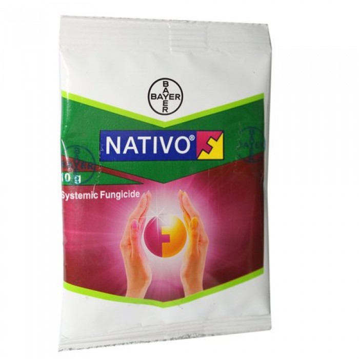 BAYER NATIVO 10GM