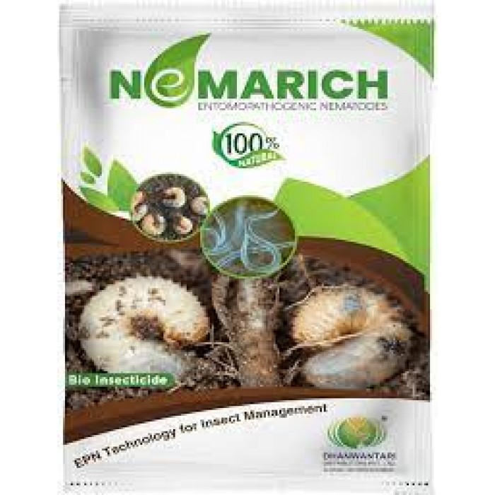 DHANWANTARI NEMARICH 1 KG 