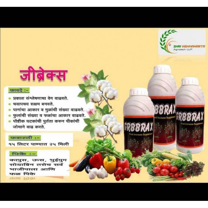 VIGHNAHARTA GRBBRAX  250 ML 