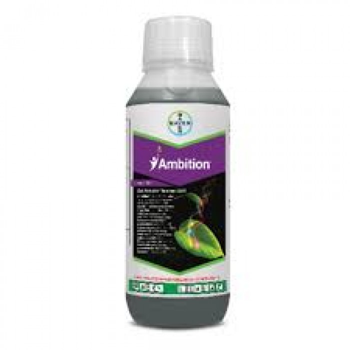 BAYER AMBITION 1 LITER