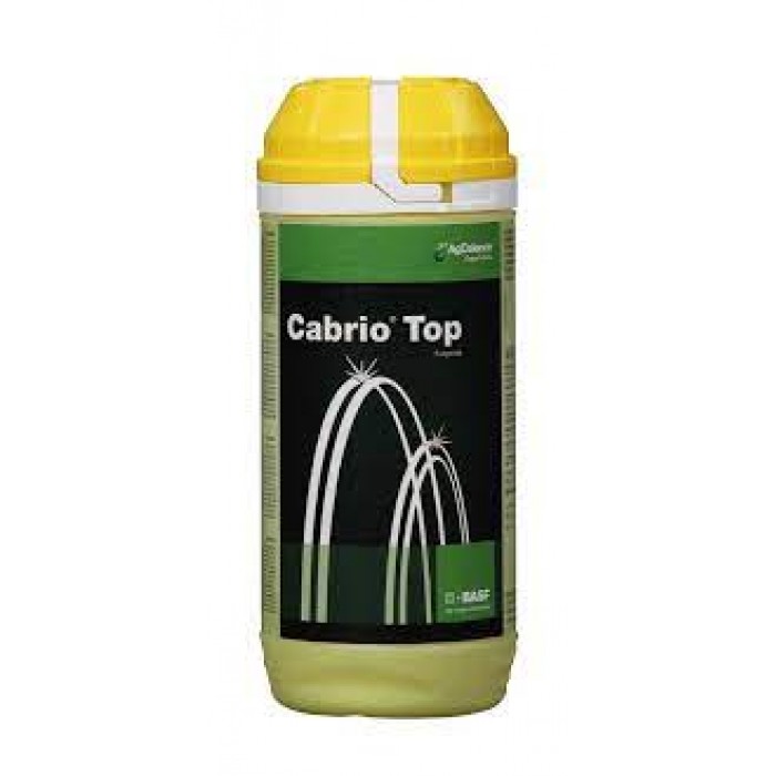 BASF CABRIO TOP 600GM