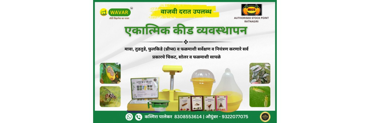 Ratnagiri Authorised Stock Point 